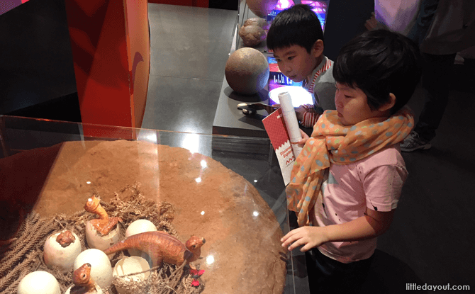 Australian Museum, Sydney with Kids