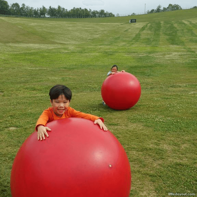 Red Balls at the Hillside Park