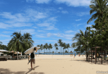 Sign Up As A Sentosa Islander For Free