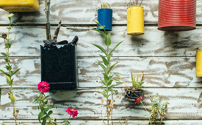Going Green In Singapore As A Family: Beyond Simply Refusing Plastic Straws e-bernard-hermant-657000-unsplash
