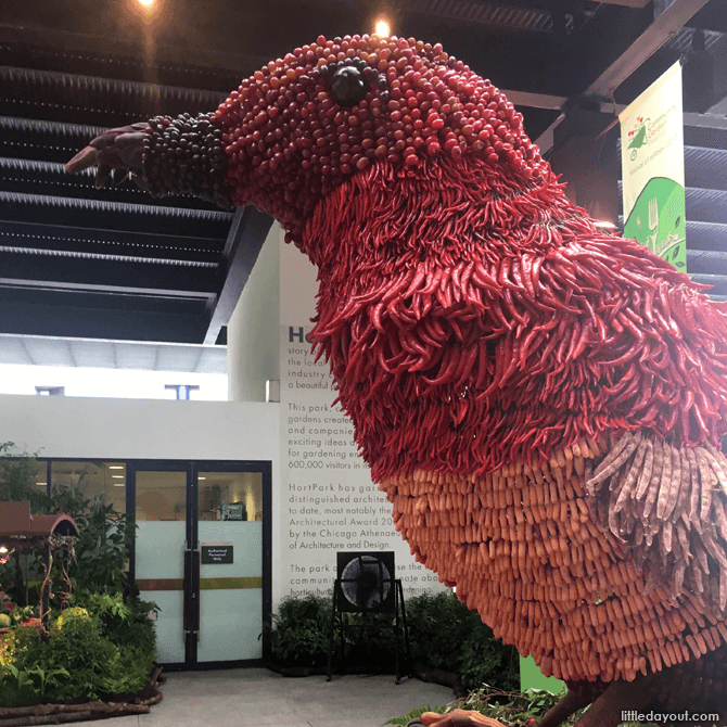 Crimson Sunbird display, Community Garden Festival 2017