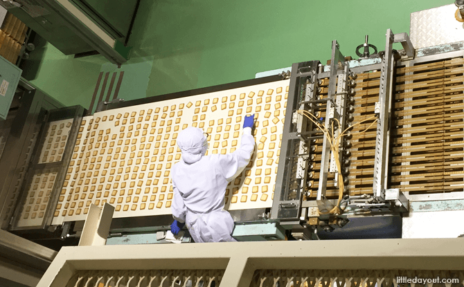 Shiroi Koibito biscuits on the production line