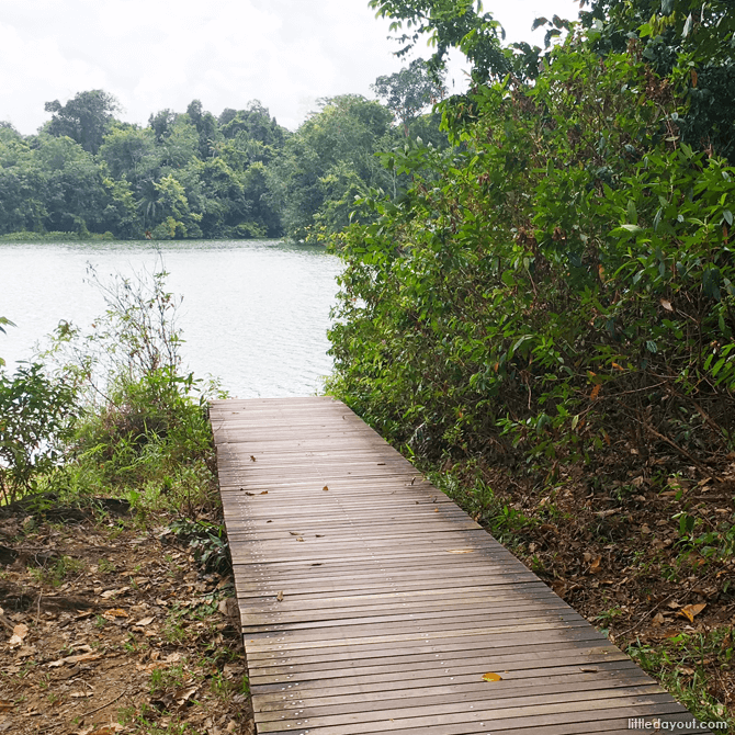 Waterside walk at the Lower Peirce Boardwalk