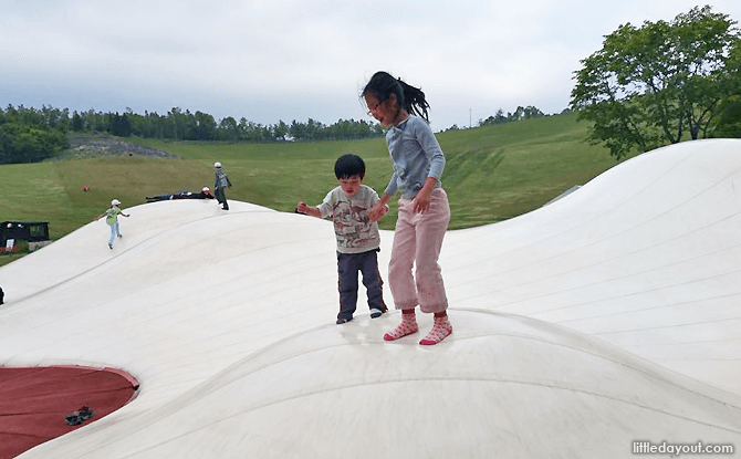 Ants nest trampoline at Takino Park