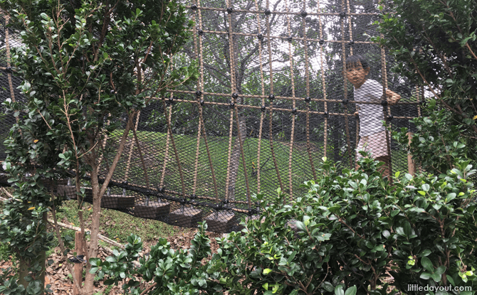 Netted bridge at the Tree "condo"