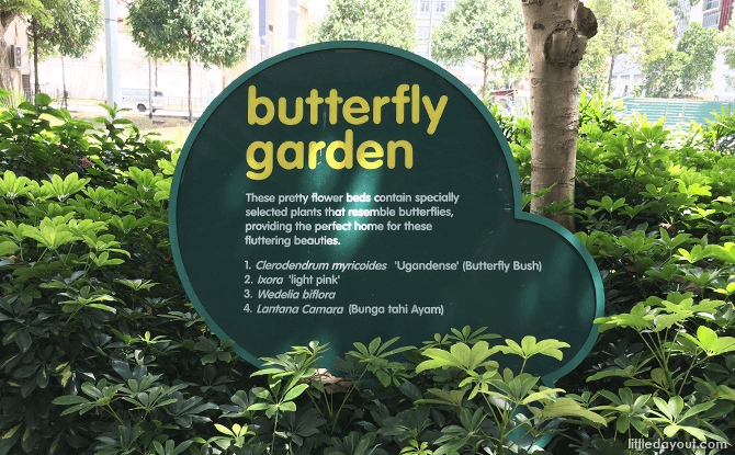 Butterfly Garden, City Square Mall