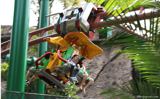 Canopy Flyer Ride