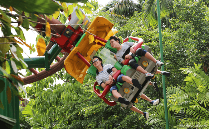 Canopy Flyer