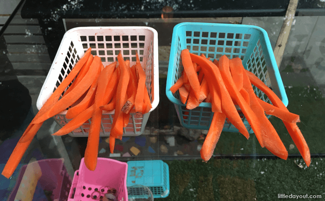 Carrots for sale