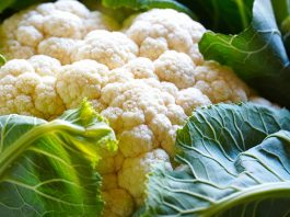 NParks Has Seeds Of Plant Varieties Like Cauliflower & Radish Available; For Those Who Want To Cultivate Their Green Fingers