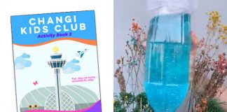Changi Kids Club Book 2: How To Build A Rain Vortex And Other Activities