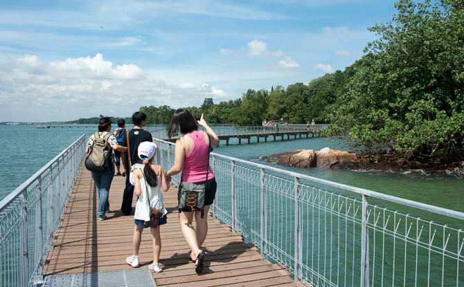 Balik Chek Jawa (Chek Jawa Open House)