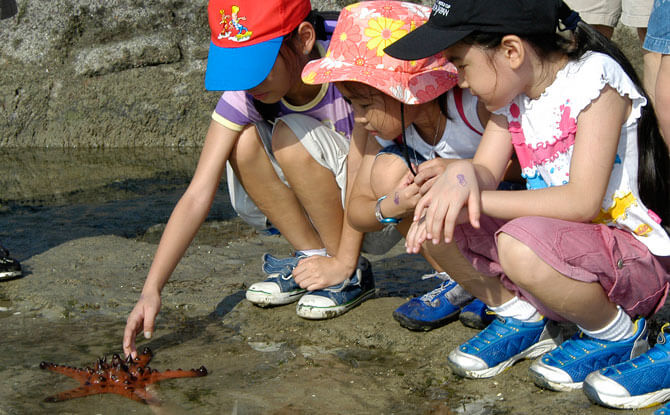 Pesta Ubin 2018: Family-friendly Events At The Pulau Ubin Open House