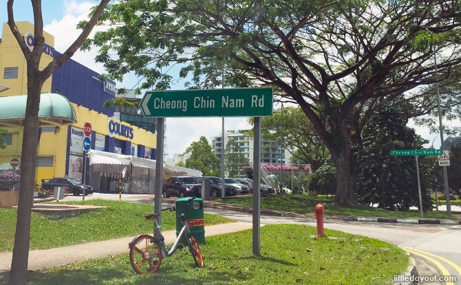 Cheong Chin Nam Road, Upper Bukit Timah