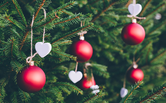 9 Places To Buy A Live Christmas Tree In Singapore