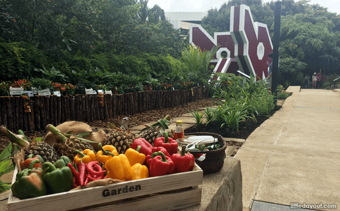 Updated Community in Bloom Displays, HortPark