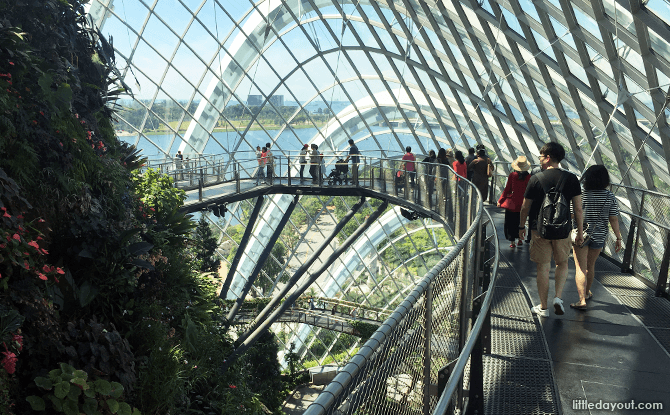 Cloud Walk, Gardens by the Bay Cloud Forest