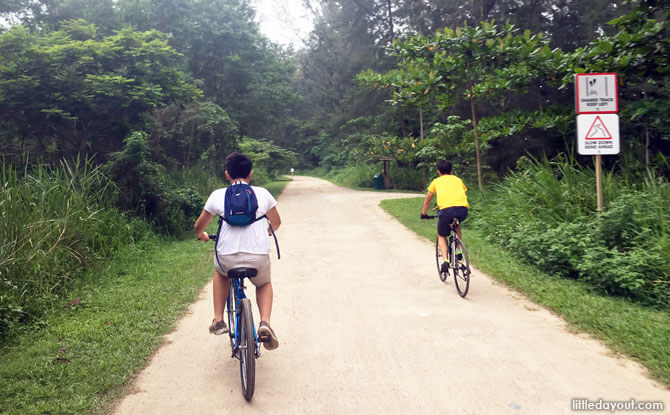 Cycling at Coney Island Park