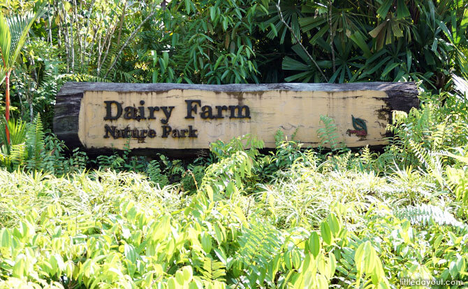 Dairy Farm Nature Park Entrance