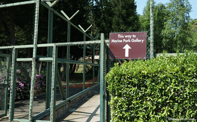 Path to Marine Park Gallery, St John's Island