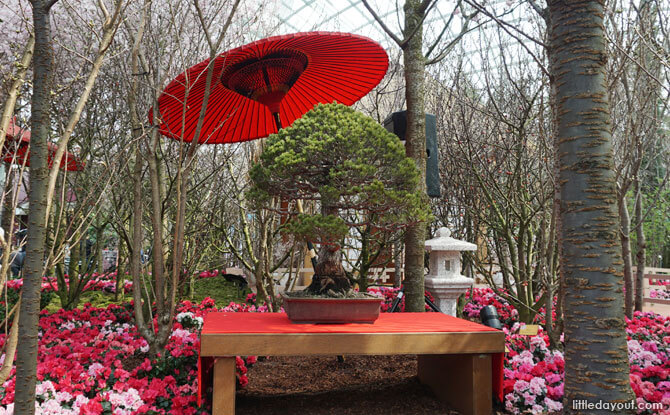 Display at Gardens by the Bay's Sakura Matsuri