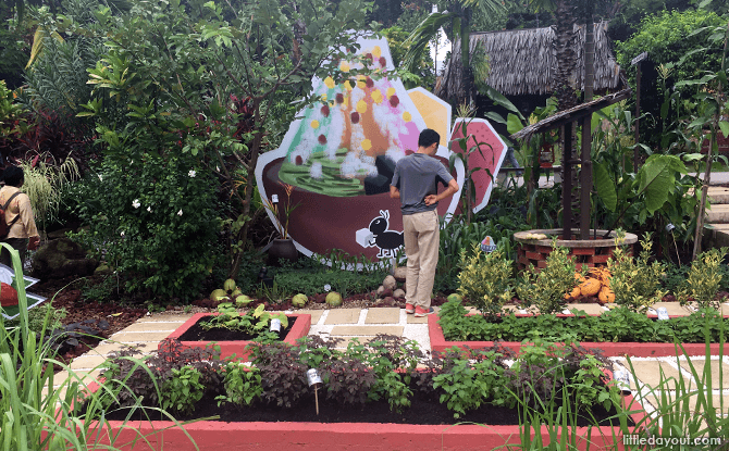 Refreshed Community in Bloom Display at HortPark