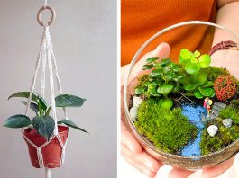 DIY Craft Kits To Get You Started On Your Next Therapeutic Hobby