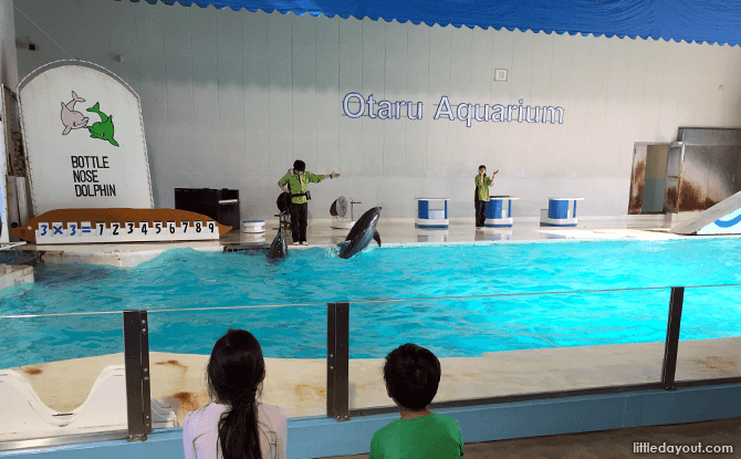 Dolphin show at Otaru Aquarium