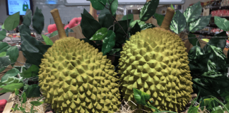 Durians in Singapore