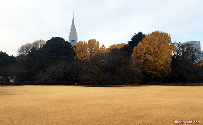 Wide lawns at the English Landscape Garden, Shinjuku Gyoen National Garden