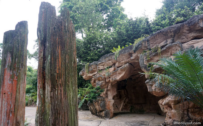 Trees of Stone at Evolution Garden entrance, Singapore Botanic Gardens