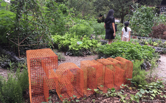 Farm at Jacob Ballas Children's Garden Extension