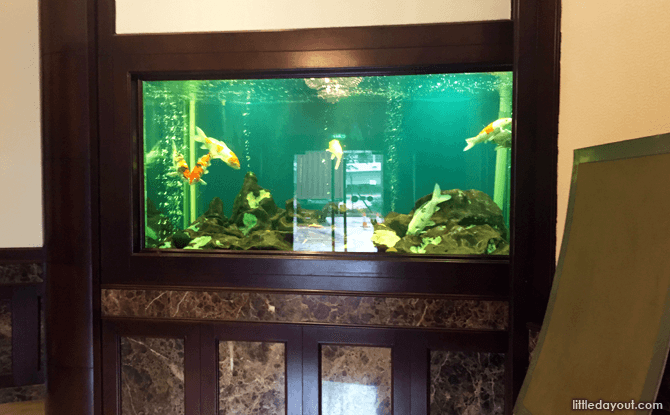 Fish tank at the Prima Tower ground floor