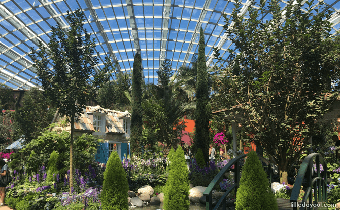 Flower Field at Flower Dome