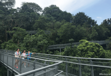 Alexandra Arch & Forest Walk