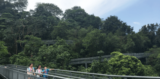 Alexandra Arch & Forest Walk