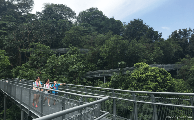 Alexandra Arch & Forest Walk