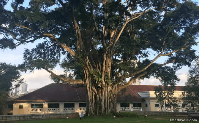 Fort Canning Park