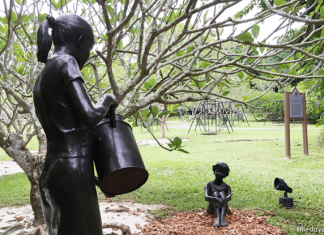 Swings at Singapore Botanic Gardens: Frangipani Collection Frangipani Collection, Singapore Botanic Gardens - Singapore Botanic Gardens: 15 Favourite Nature Spots