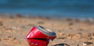 Help To #ClearThePath While Out At Singapore's Nature Spots