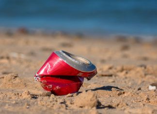 Help To #ClearThePath While Out At Singapore’s Nature Spots Help To #ClearThePath While Out At Singapore's Nature Spots