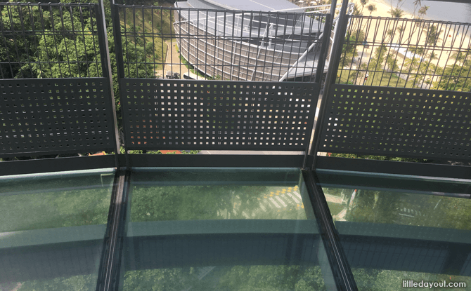 Glass-bottomed Section of Viewing Platform