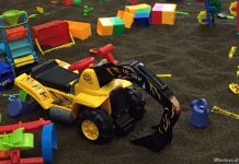 Cassia Seeds Playgrounds In Singapore: The Scoop On A Good Time Cassia Seed Playgrounds In Singapore: A Scooping Good Time