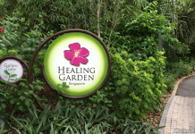 Healing Garden at Singapore Botanic Gardens: Natural Remedies Healing Garden at Singapore Botanic Gardens