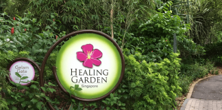Healing Garden at Singapore Botanic Gardens