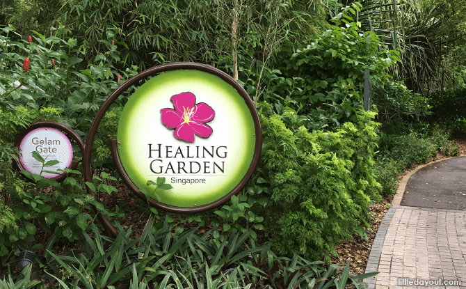 Healing Garden at Singapore Botanic Gardens