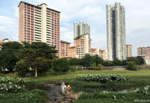 Bishan-Ang Mo Kio Park: A River Runs Through It – 16 Things To Do And See