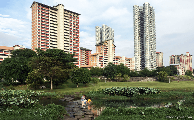 Bishan-Ang Mo Kio Park: A River Runs Through It - Things to Do and See Bishan-Ang Mo Kio Park