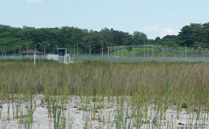 Hill with the pre-treatment tanks at Lorong Halus Wetland