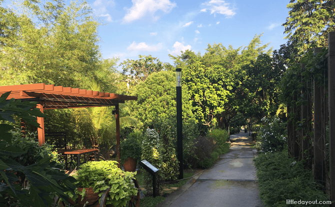 HortPark, Part of Southern Ridges Walk